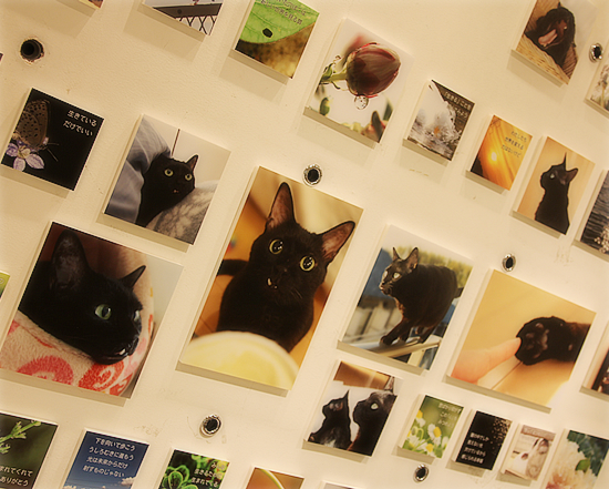 展示会スタートです!_a0389088_17424207.jpg
