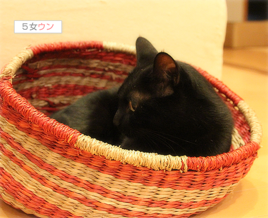 深夜のおでむかえ_a0389088_17430069.jpg