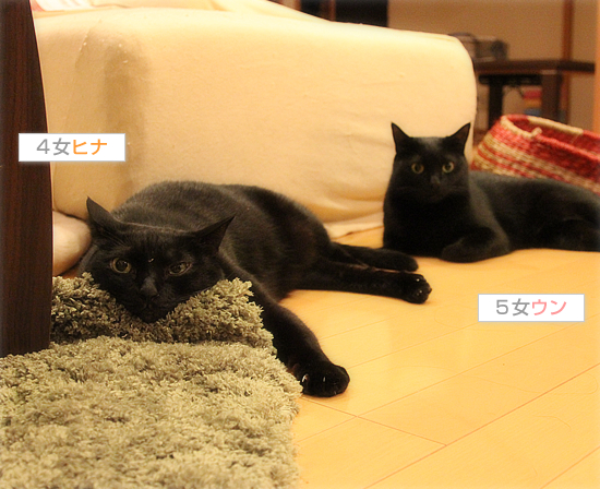 深夜のおでむかえ_a0389088_17430080.jpg