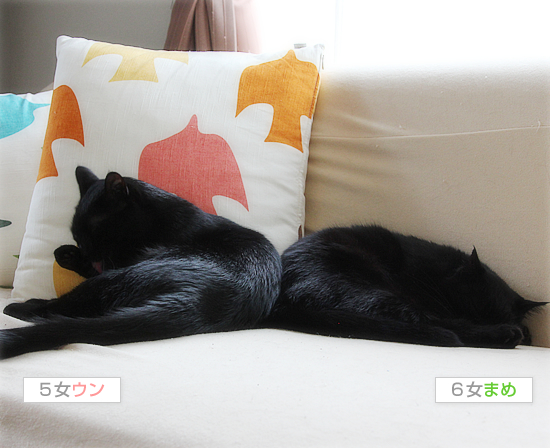 ひとりじゃないよ_a0389088_17430181.jpg