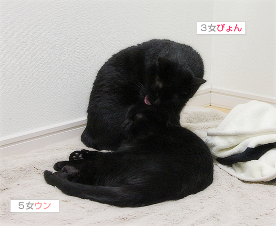ひとりじゃないよ_a0389088_17430271.jpg