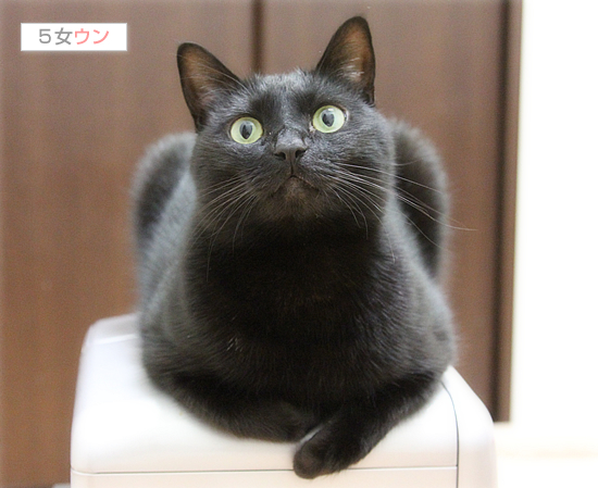 美女の○○○_a0389088_17431865.jpg