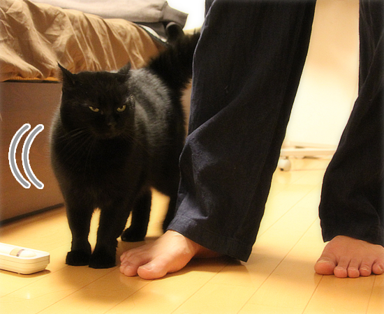 しっぽボーン!!_a0389088_17432218.jpg