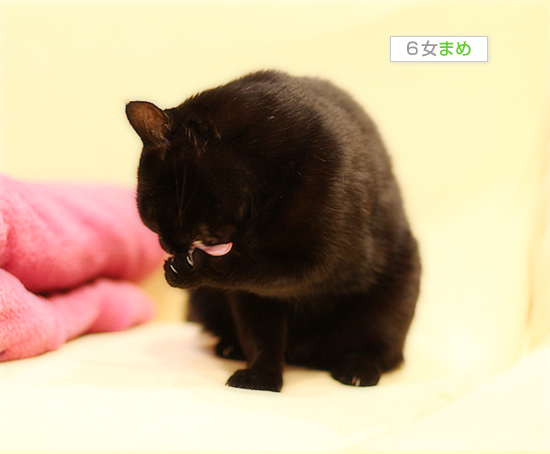 熱心なわりには_a0389088_17433704.jpg