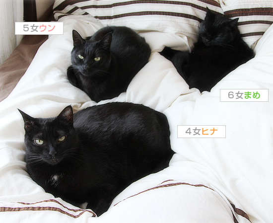 寒さに感謝?_a0389088_17443777.jpg