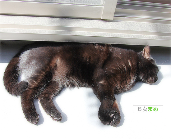 冬眠から出てきました_a0389088_17443806.jpg