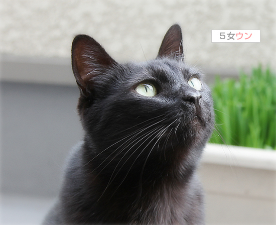 冬眠から出てきました_a0389088_17443817.jpg