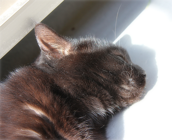 冬眠から出てきました_a0389088_17443831.jpg