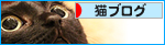 「見える」猫_a0389088_17444286.jpg