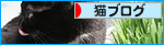 脳内アジア旅行_a0389088_17444617.jpg