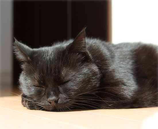 アウトッ!_a0389088_17445029.jpg