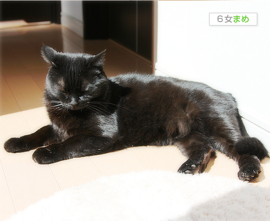 アウトッ!_a0389088_17445034.jpg