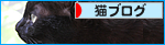 アウトッ!_a0389088_17445037.jpg