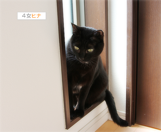 アウトッ!_a0389088_17445096.jpg