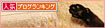 腹チャックが開いて・・・_a0389088_17445237.jpg