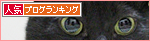 猫をかわいく撮る方法_a0389088_17445337.jpg