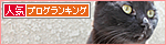 ビーの命日_a0389088_17453584.jpg