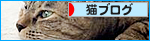 ナツの江戸便り(※香川より美人子猫・家族募集中!)_a0389088_17454780.jpg