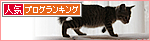 新入生は1か月半♪_a0389088_17460751.jpg