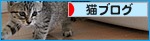 新入生は1か月半♪_a0389088_17460753.jpg