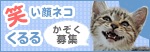 猛暑も動物それぞれ_a0389088_17460931.jpg