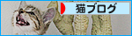 子猫の歯_a0389088_17460964.jpg