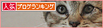 子猫の「ハイポーズ」♪_a0389088_17461339.jpg