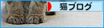 子猫の「ハイポーズ」♪_a0389088_17461401.jpg