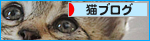 皿まで食べるぜえ!ワイルドだろお?_a0389088_17461688.jpg