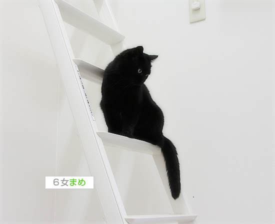 うかない理由_a0389088_17462701.jpg