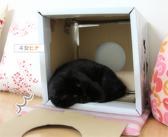 うかない理由_a0389088_17462874.jpg