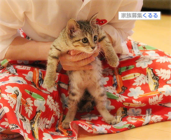 「くるる」も「ヒヨ」も成長中♪_a0389088_17464025.jpg