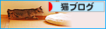 「くるる」も「ヒヨ」も成長中♪_a0389088_17464089.jpg