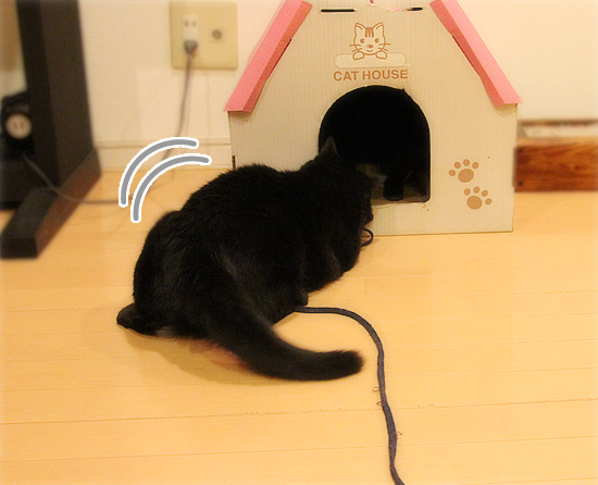 そんなところに!_a0389088_17464128.jpg
