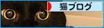 深夜の生首_a0389088_17464341.jpg