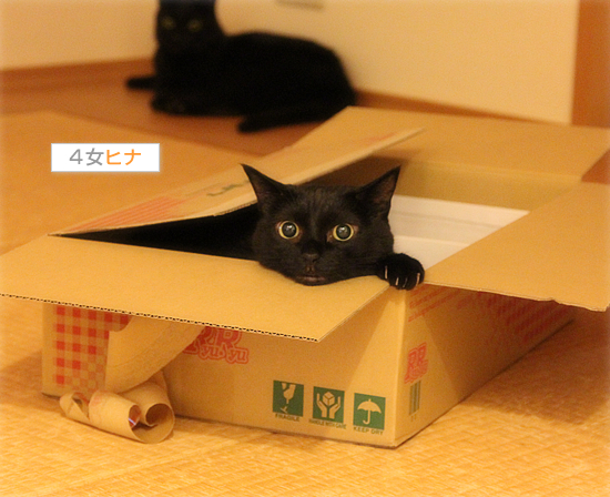 深夜の生首_a0389088_17464348.jpg