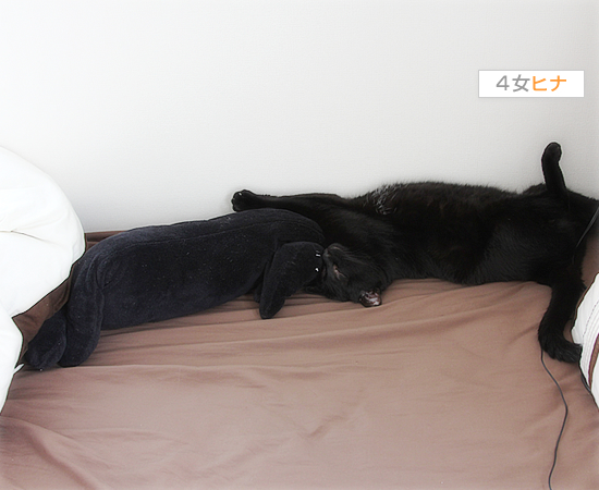 ファーストキス_a0389088_17464583.jpg