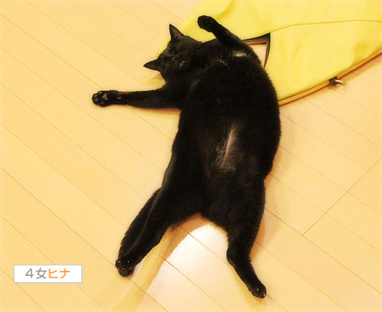 麻薬バッグ_a0389088_17465248.jpg