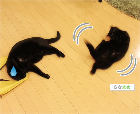 麻薬バッグ_a0389088_17465368.jpg
