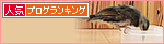 猫なりのはげまし_a0389088_17465413.jpg