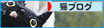 今年も「あちら」から来てくれた_a0389088_17470620.jpg