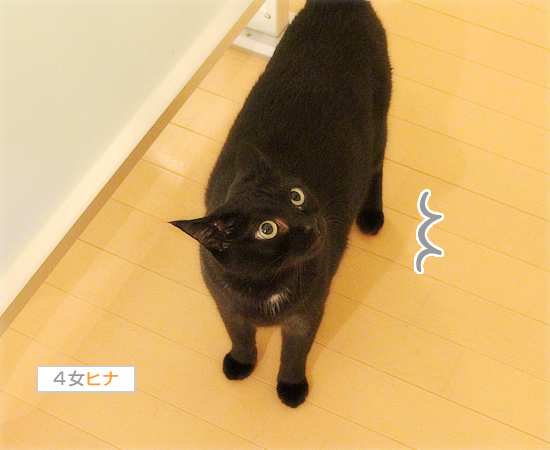 真夏の夜の〇〇_a0389088_17470969.jpg