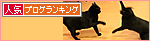 美猫ビーーーーーム☆_a0389088_17471123.jpg
