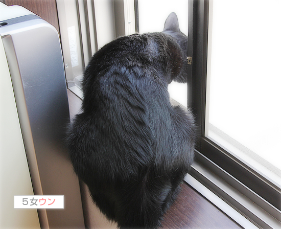 事故に遭ったあの日から・・・_a0389088_17471132.jpg