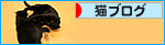 美猫ビーーーーーム☆_a0389088_17471137.jpg