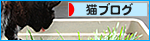 事故に遭ったあの日から・・・_a0389088_17471237.jpg