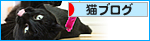 四猫怪談_a0389088_17471324.jpg