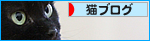 猫写真の裏ワザ_a0389088_17471490.jpg
