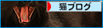 黒猫牧場、紹介の巻_a0389088_17471528.jpg
