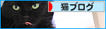 黒猫を見て、季節を感じる_a0389088_17471673.jpg